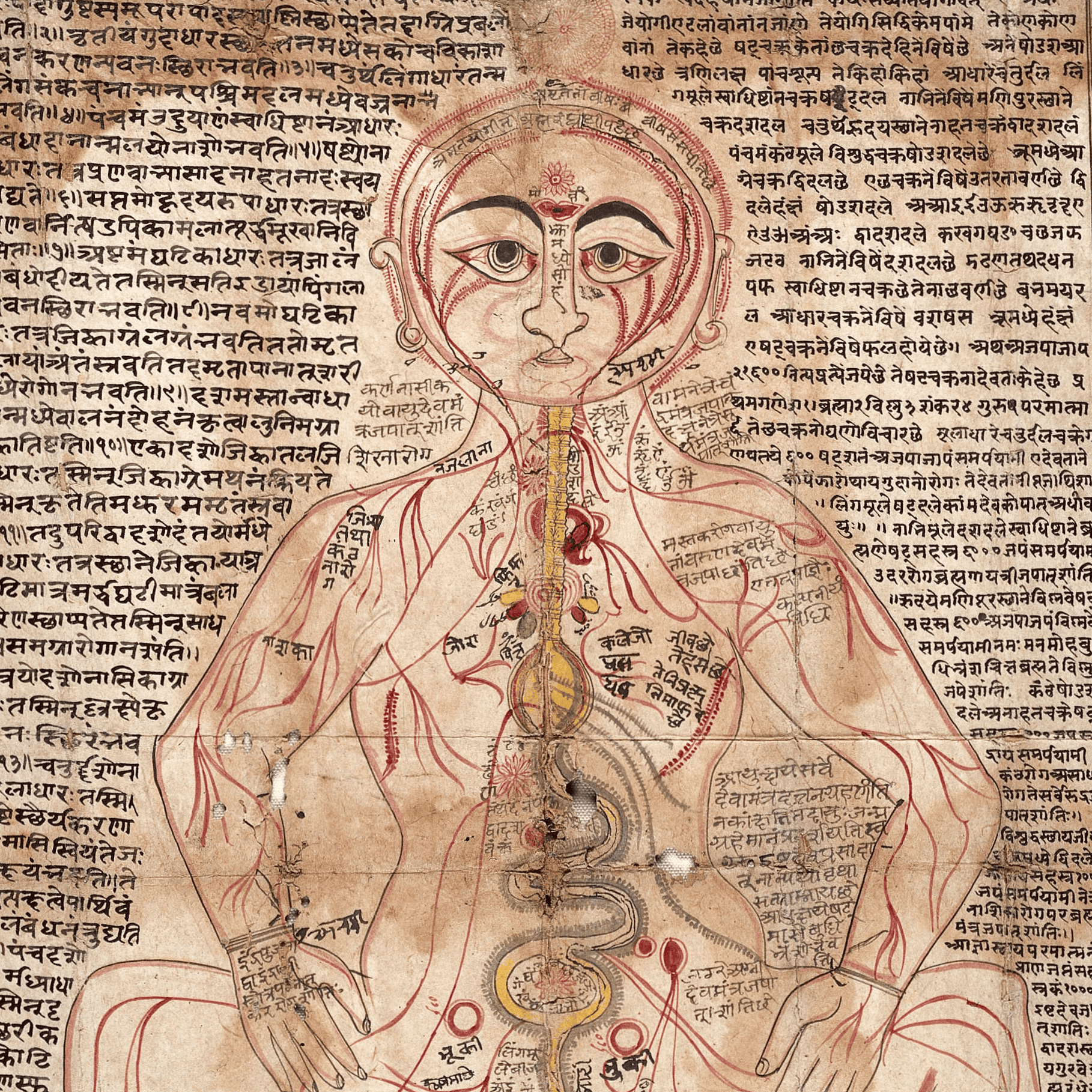 18th-century Nepali anatomical illustration showing the flow of the life force, prana, throughout the body.